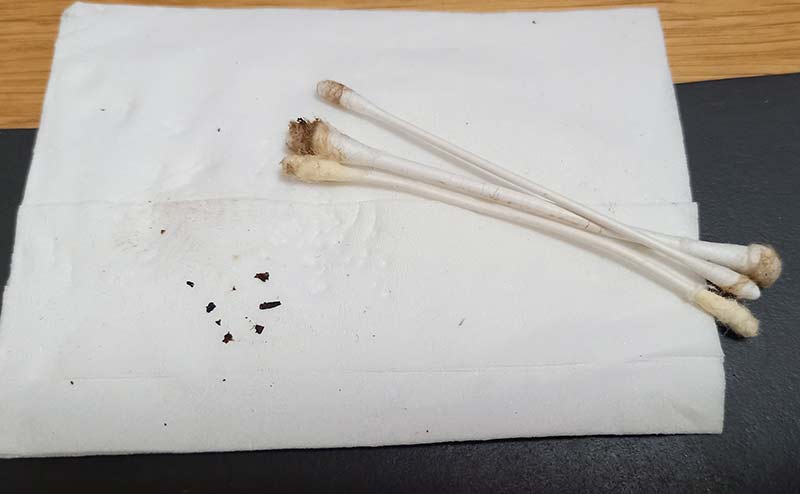 3分で出来る グローの掃除 クリーニング方法を超シンプルに解説 スマホまわり部