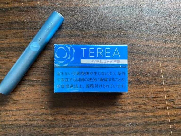 テリア・レギュラー