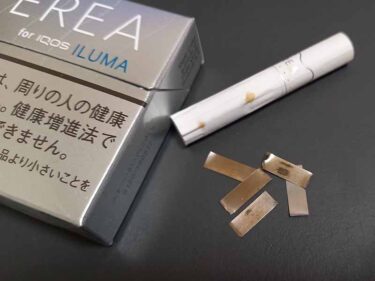 テリア金属片
