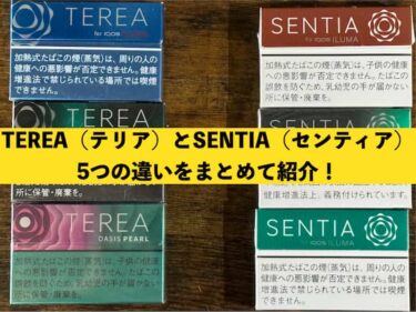 センティア　テリア　違い