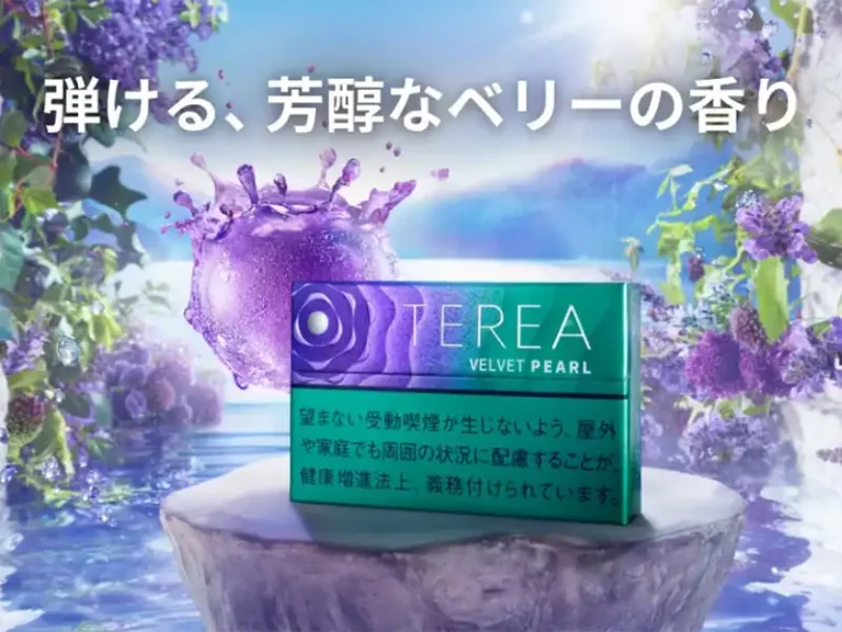 AGATHA 新品 電池入り テリア　MADE IN FRANCE AGATHA 新品 電池入り テリア MADE IN FRANCE 2025年5月最新