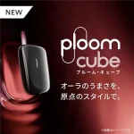 プルームキューブ